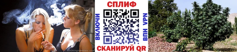 Где купить наркоту Удачный Cocaine  Бошки Шишки  Меф  Гашиш 