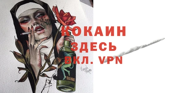 сатива Аркадак