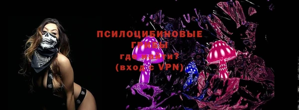 сатива Аркадак
