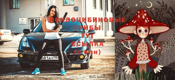 гидропоника Армянск