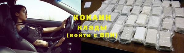 амф Тайга