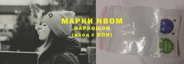 сатива Аркадак