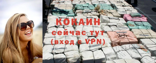 сатива Аркадак