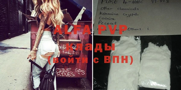 сатива Аркадак