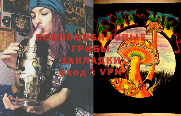 сатива Аркадак