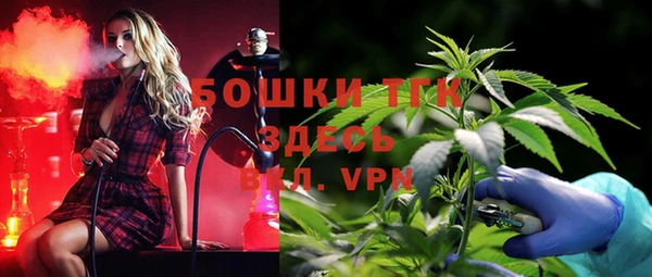 сатива Аркадак